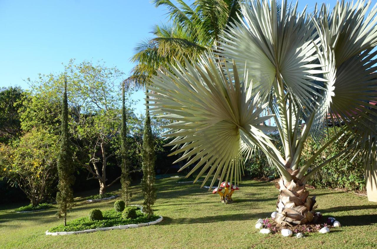 הוילה פנדו Casa Em Penedo מראה חיצוני תמונה